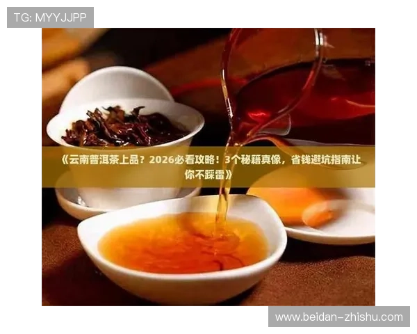 足球竞彩比分奖金计算器避坑指南大型赛事预热必看